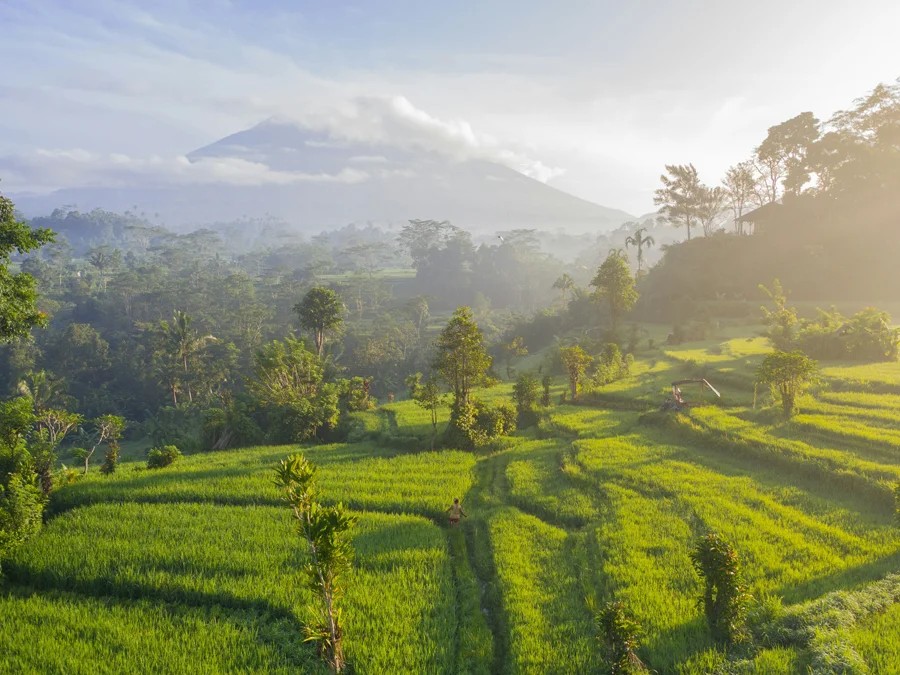 Retreats in Bali, Indonesia