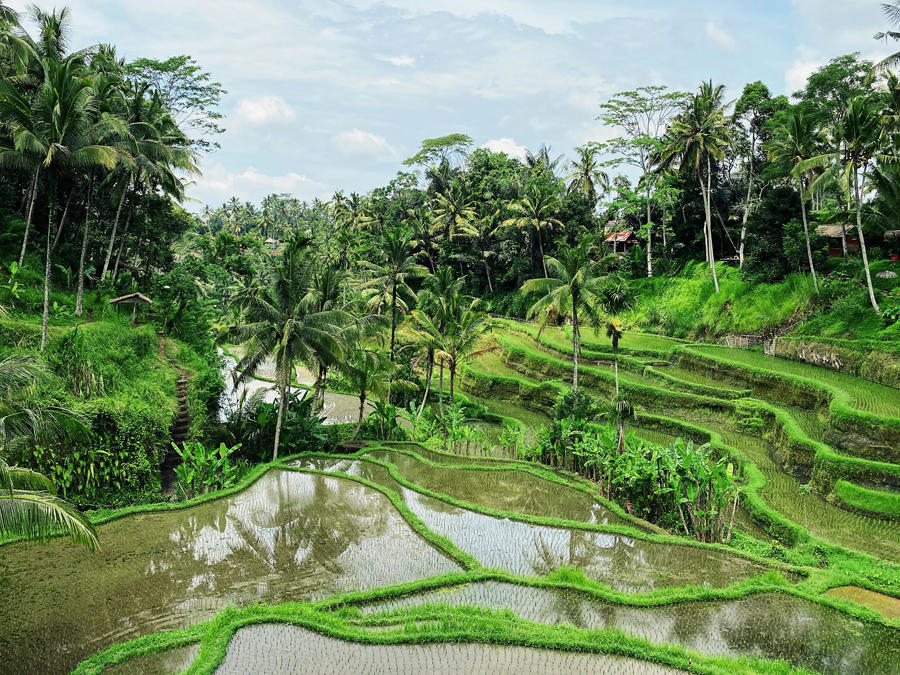 Retreats in Ubud, Bali