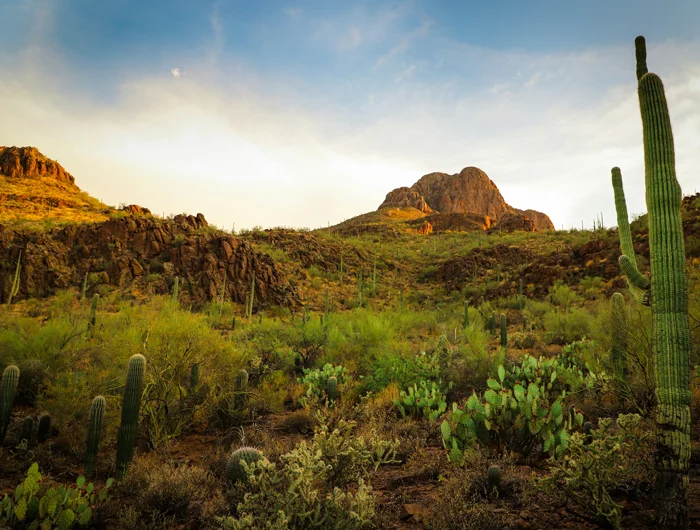 Retreats in Tucson, Arizona