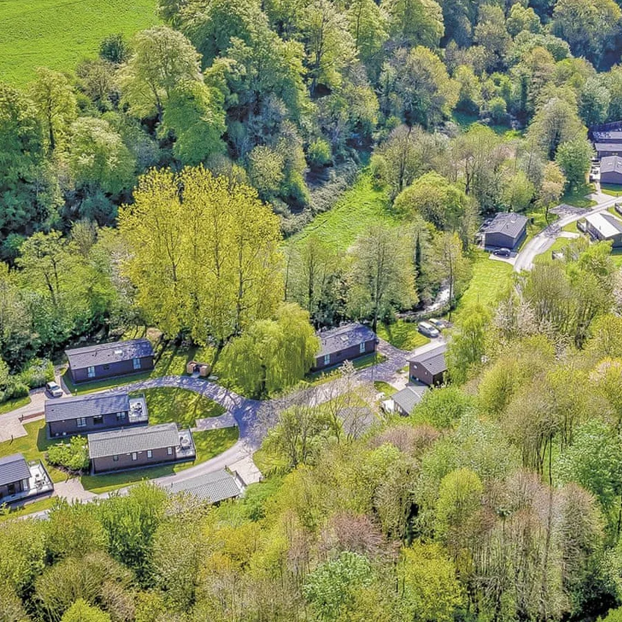 Woodland grounds at Bath Mill Lodge Retreat, Somerset